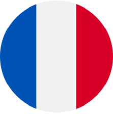 logo drapeau français